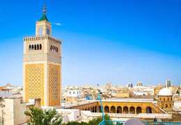ͻ��˹ Tunis